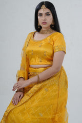 Elegant Designer Lehenga with Embroidery and Sparkling Sequins Detail LEHENGA JCS Fashions