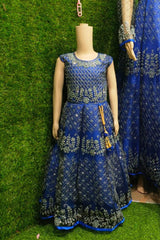 Girls Party Net Frock with Embroidery & Stone Work – Elegant Festive Dress GIRLS JCS Fashions Blue 30