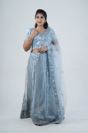 Gray Soft Net Lehenga & Glitter-Embroidered Crop Top