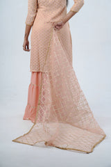 Exquisite Jaguard Sharara Suit - Elegant Embroidery, Sequins & Stone Work KURTI JCS Fashions