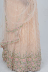 Exquisite Showstopper Lehenga with Lavish Embellishments in Pastel Peach LEHENGA JCS Fashions