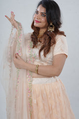 Exquisite Showstopper Lehenga with Lavish Embellishments in Pastel Peach LEHENGA JCS Fashions