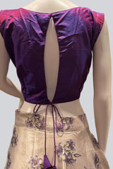 Exquisite Silk Lehenga with Crop top| Printed Design|Indian women Lehenga JCS Fashions