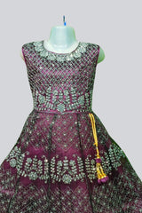 Girls Embroidered Net Frock with Stone Work – Elegant Party Dress GIRLS JCS Fashions