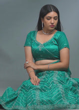 Dazzling  Stone Work Designer Soft Net Lehenga with Crop Top