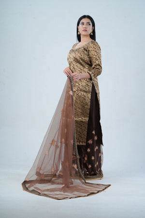 Brown Embroidered Palazzo Salwar Suite with Dupatta