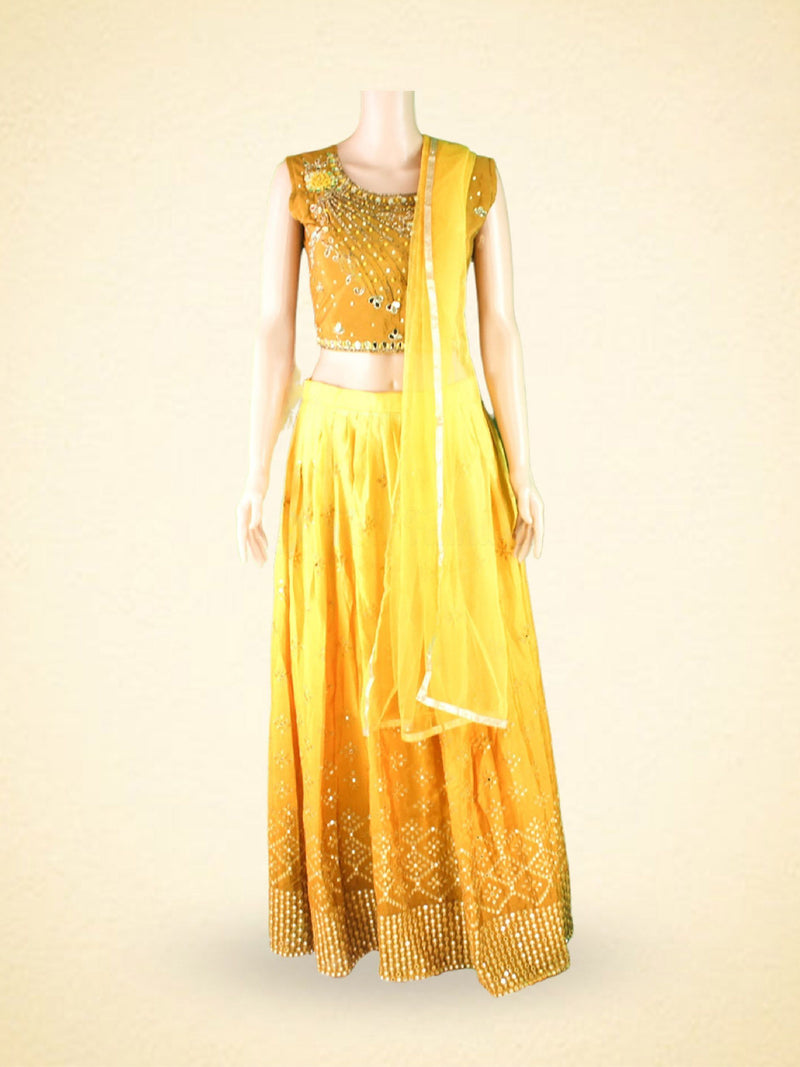 Mirror Work And Crop Top style Silk Lehenga With Net Dupatta