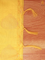Elegant Indian Traditional Soft Silk Cotton Saree With Brocade Blouse