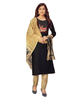 Rayon Slub Embroidery Work Salwar